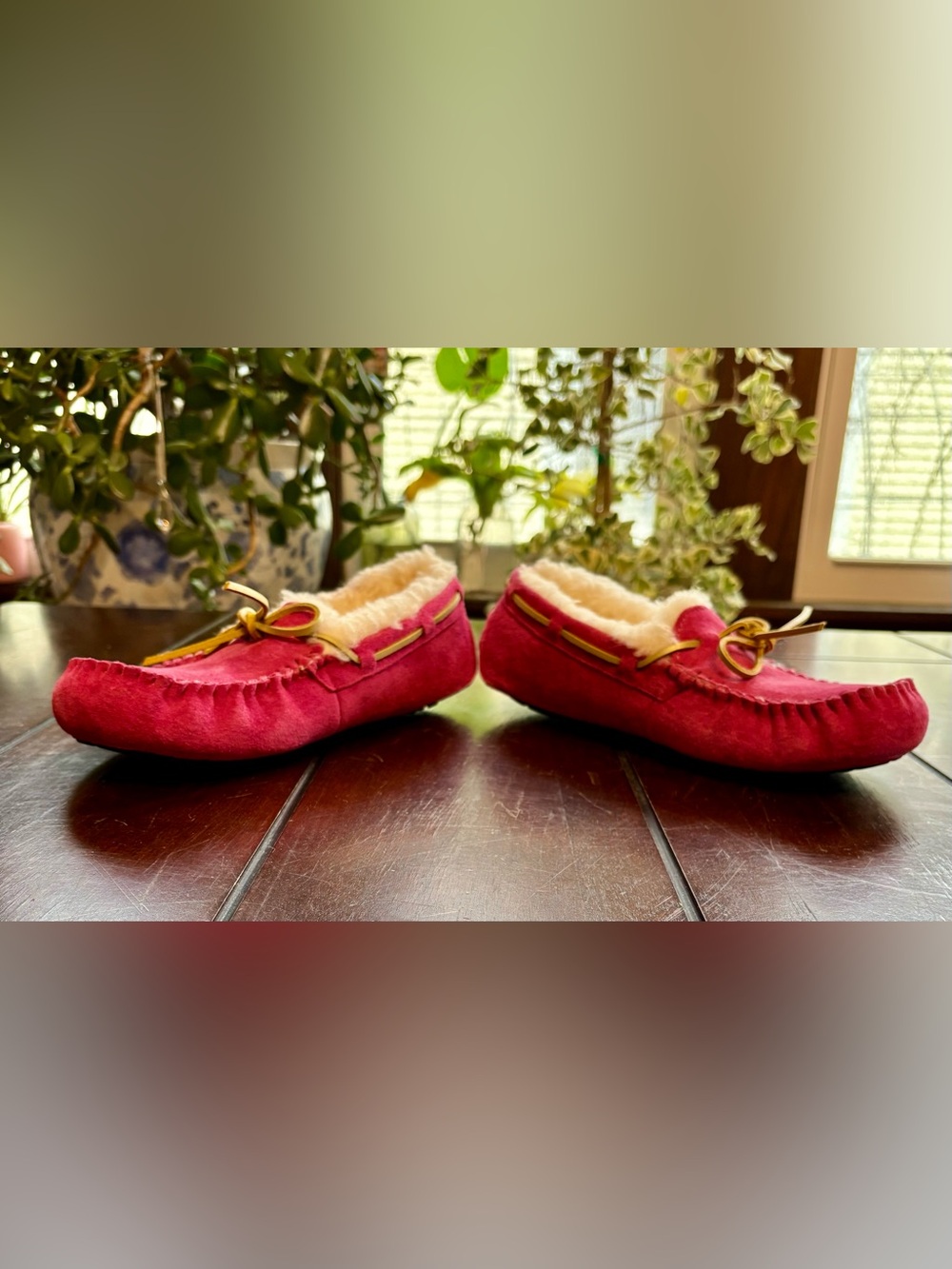 UGG “DAKOTA” MOCCASINS! Magenta Pink! Women’s size 7.